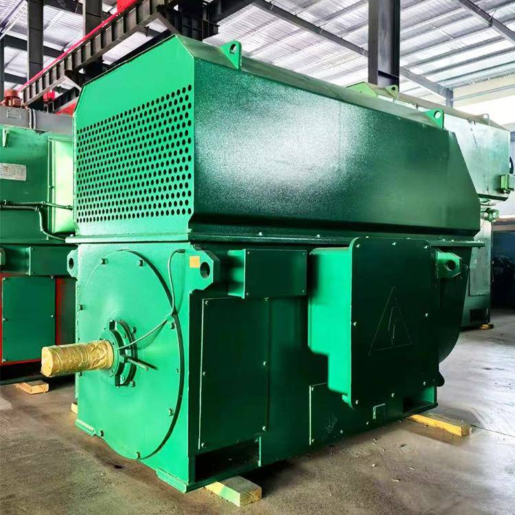 出口高效三相异步高压电机YX500-6/800W,1000RPM50HZ