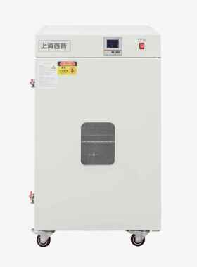 【牌】鼓风干燥箱 工业烘箱 真空烘箱9620型620升