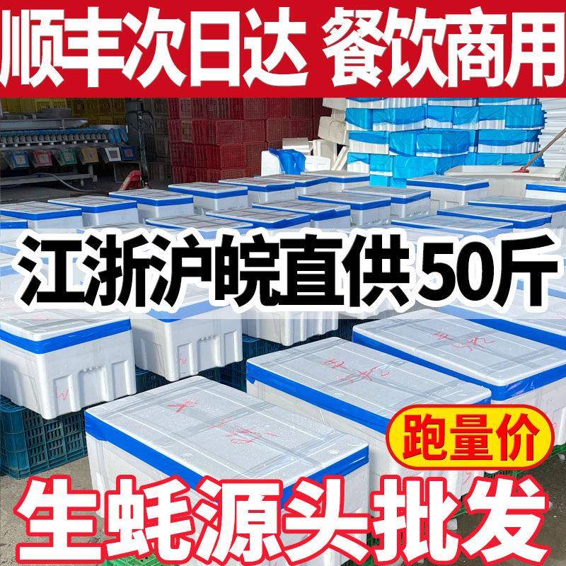 50斤100斤鲜活乳山生蚝海蛎子餐饮摆摊烧烤店高压锅生蚝专用