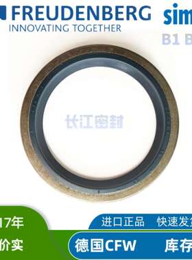 B1FUDSL65-80-86-16-7德国SIMRITcfw进口骨架油封外铁壳