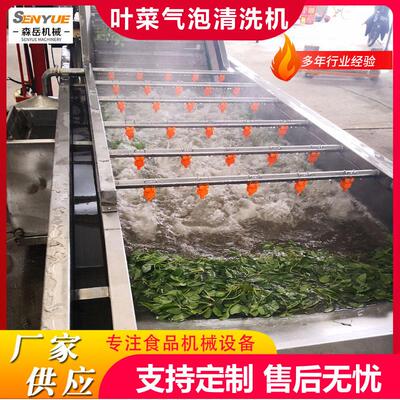 FWY全机自动蔬气泡清洗机鲜毛豆气泡翻浪清洗竹笋洗机去果泥沙设