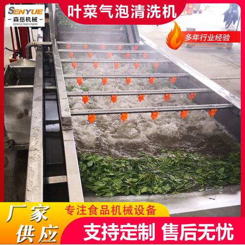 工厂用果蔬气泡清洗机设备艾草气泡清洗机茶叶鼓泡翻浪清洗机