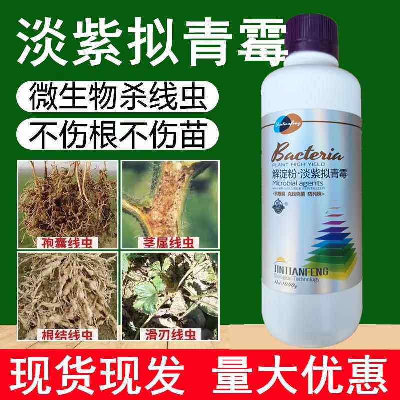根线灵淡紫拟青霉淡紫紫孢菌滴灌根防结线虫茎线虫孢囊线虫根线清