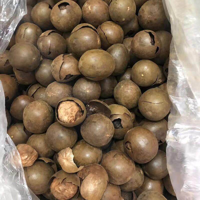 新疆包邮桂林特产新鲜罗汉果茶大果散装干果罗汉果破果脊酒店饭店