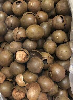 新疆包邮桂林特产新鲜罗汉果茶大果散装干果罗汉果破果脊酒店饭店