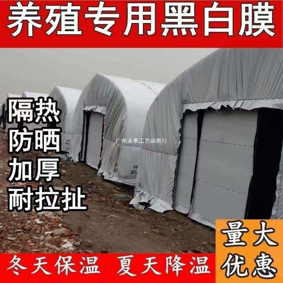 进口黑白膜加厚养殖大棚黑白膜反光隔热膜塑料布塑料布防冻保暖