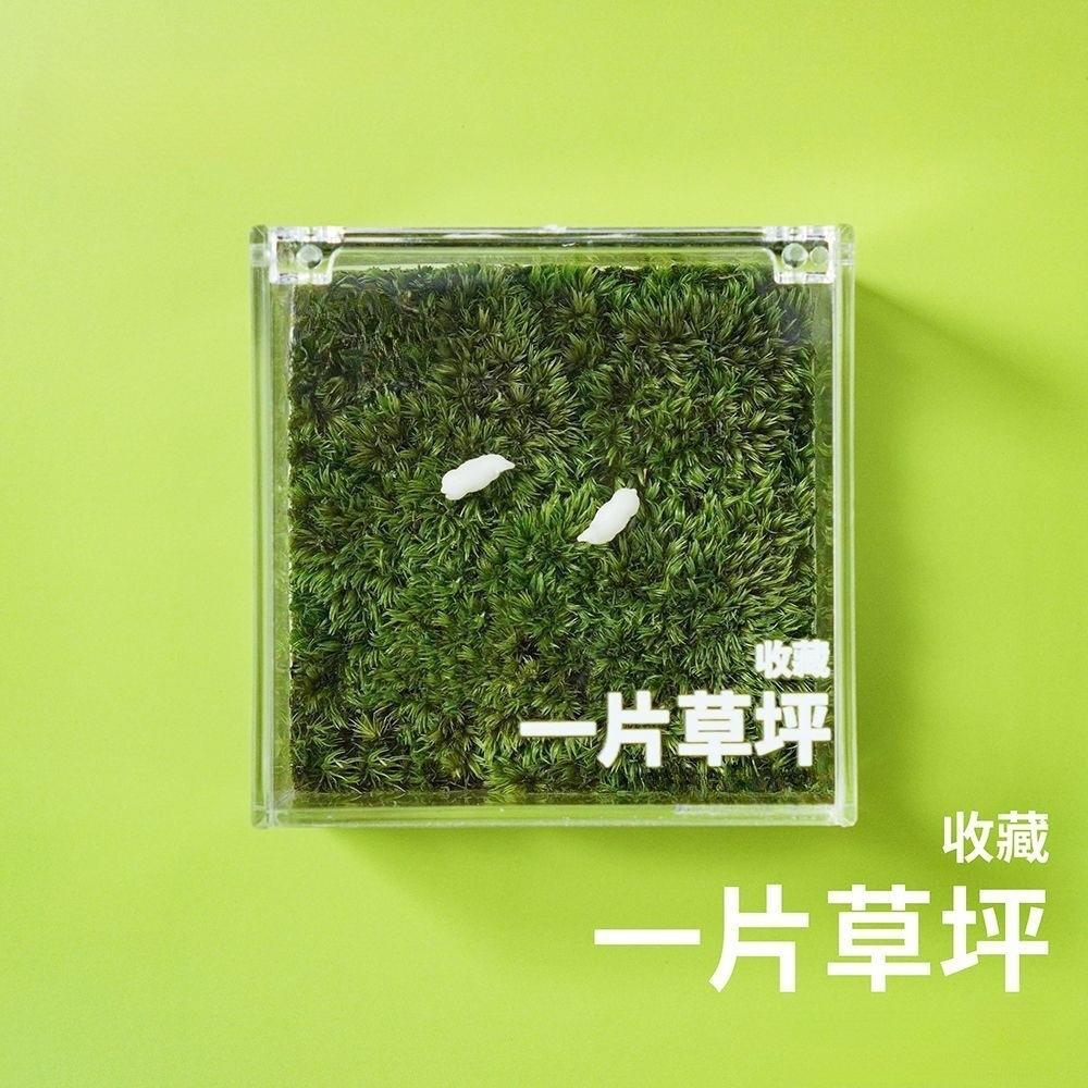 一片草坪迷你草坪苔藓盒办公室桌面绿植盆栽创意桌搭治愈系微景观