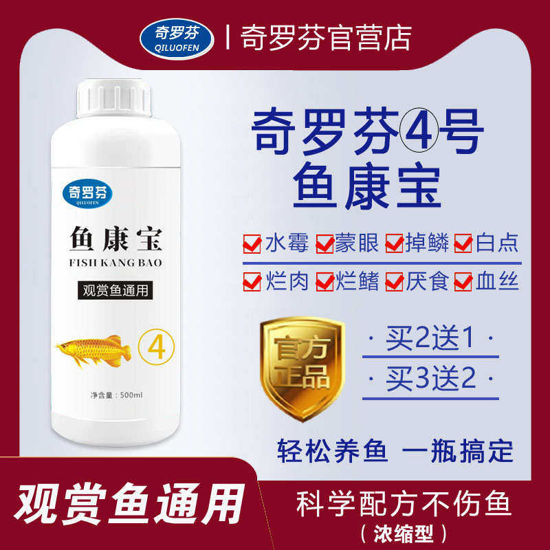鳞奇蒙眼奇龙罗锦鲤鱼烂尾康号霉罗白点掉芬宝4水芬鱼康鱼水里宝
