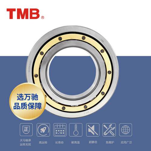 TMB/天马轴承61938X1M高速电机长寿命低噪单列深沟球轴承通用