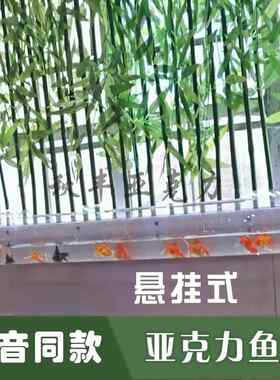 抖音同款阳台悬挂式鱼缸管道式创意鱼缸亚克力管鱼缸水族来图定制