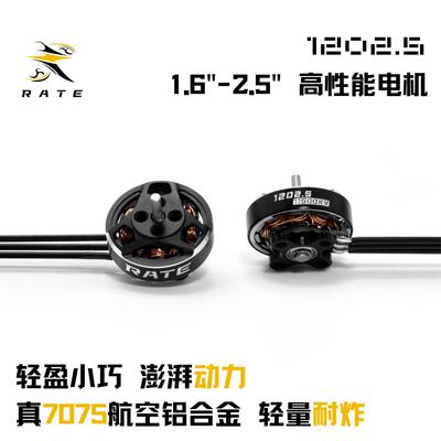 瑞速RATE 1202.5电机 1.8寸2.5寸圈圈机 无人机穿越机FPV 2S电机