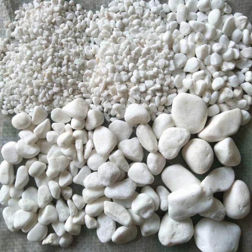 园林景观用白鹅卵石 机制鹅卵石 多肉用白石子 石米 彩石