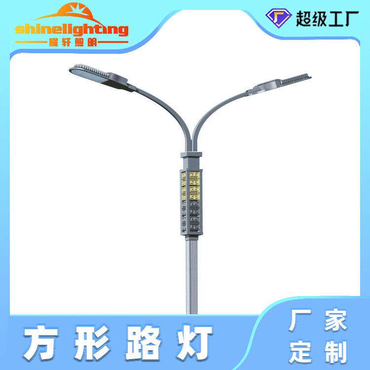 亮LED市电路灯省能耐用智能感应控制适用于各类场合照明