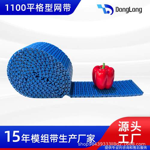 出口1100系列平板塑料链板输送带POM网带PP模组带塑料模块带
