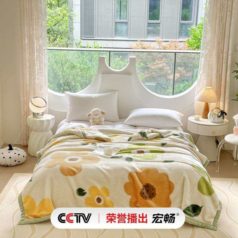 高档加厚双层拉舍尔毛毯被子床单秋季儿童学生宿舍单人午睡小盖毯