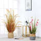 仿真植物芦苇草室内客厅网红装 饰花束假干花落地假绿植盆栽摆件