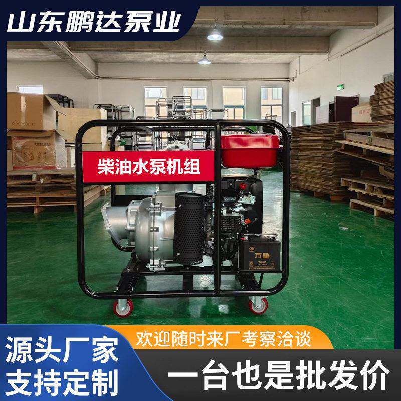 抽液泵柴油油桶泵大流量应急汽油机油抽水泵汽(柴)油机泵