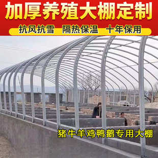 大棚钢管骨架温室蔬菜种植养殖大棚全套椭圆管牛羊圈猪舍鸡棚钢架