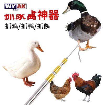 野外抓鸡神器逮鸡钩子捉鸡工具养殖场捕鸡鸭鹅脚套捉鸡钩户外捕捉