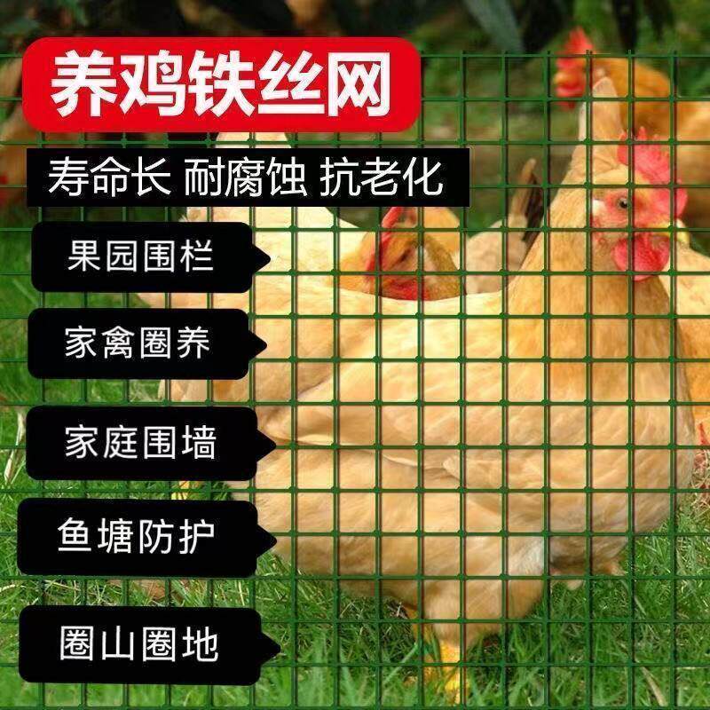 小网格铁丝网防护网养鸡围栏塑料铁网格网养殖防鼠阳台防护专用网