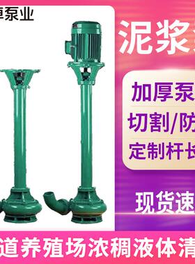 泥浆泵NL50-10立式无堵塞污水大流量液下排泥铸铁1.5kw泥浆排污泵