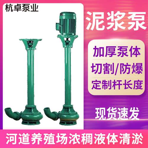 泥浆泵NL50-10立式无堵塞污水大流量液下排泥铸铁1.5kw泥浆排污泵