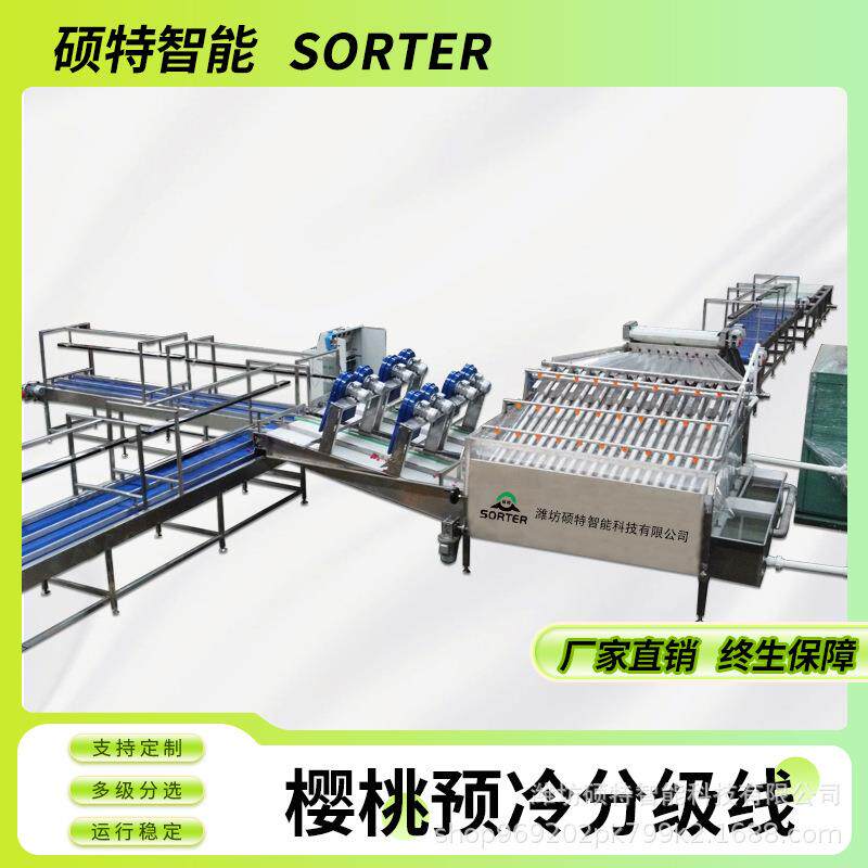 樱桃清洗风干分拣线 樱珠直径无损分选机 大型预冷选果分级设备
