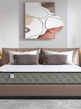 席梦思弹床簧家人用乳胶VDU椰棕弹簧床垫双经济型卧室出垫租屋弹