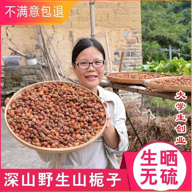 新疆包邮野生老品种山栀子500g农家生晒小个黄栀子果黄枝子栀子茶