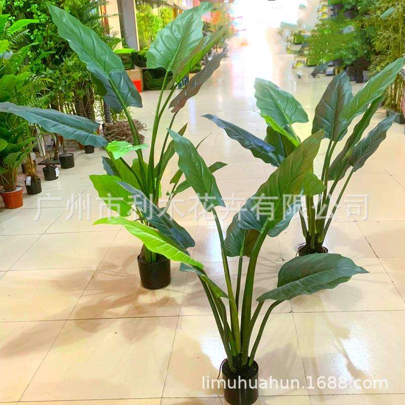 北欧风客厅仿真绿植龟背竹帝王树小盆栽假绿植摆件装饰假花仿真花