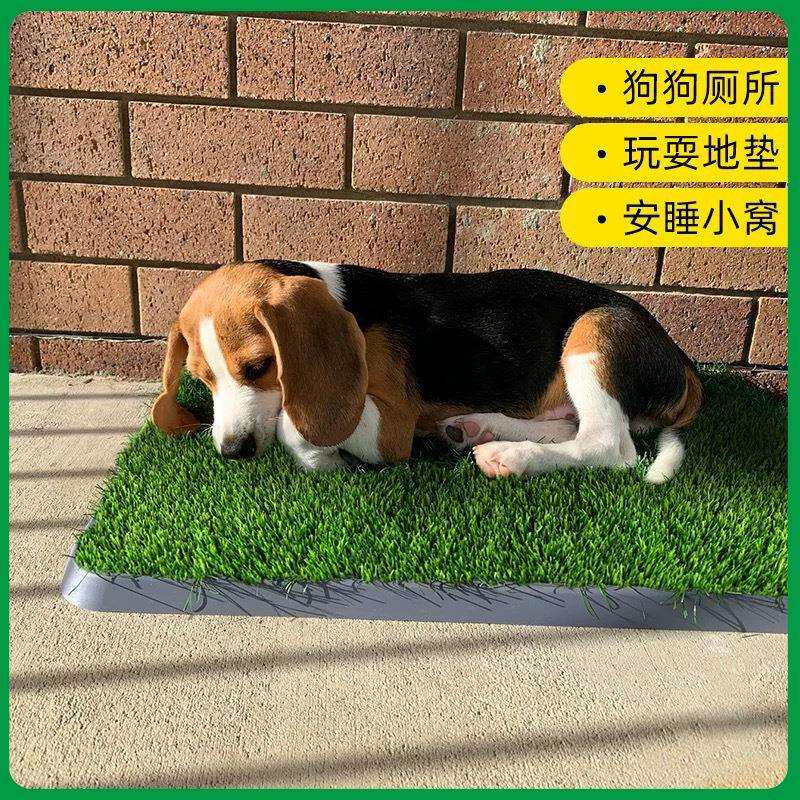 人造草坪宠物厕所垫可水洗仿真猫狗玩耍地垫假仿真宠物草坪