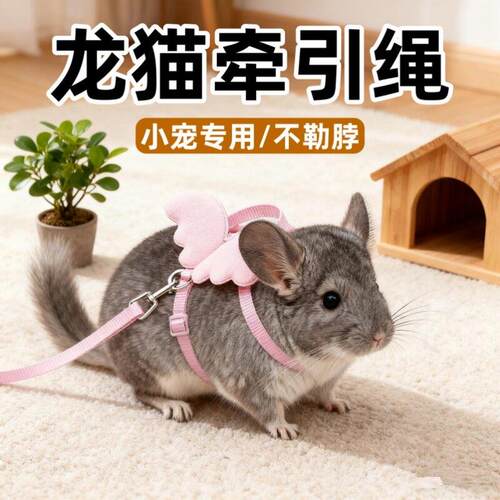 龙猫牵引绳小宠荷兰猪兔子专用放风神器防挣脱可调节款外出外带绳
