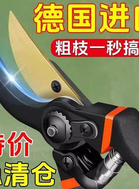 德国原装进口SK5强力园艺剪园林花卉修枝剪树剪子果树剪
