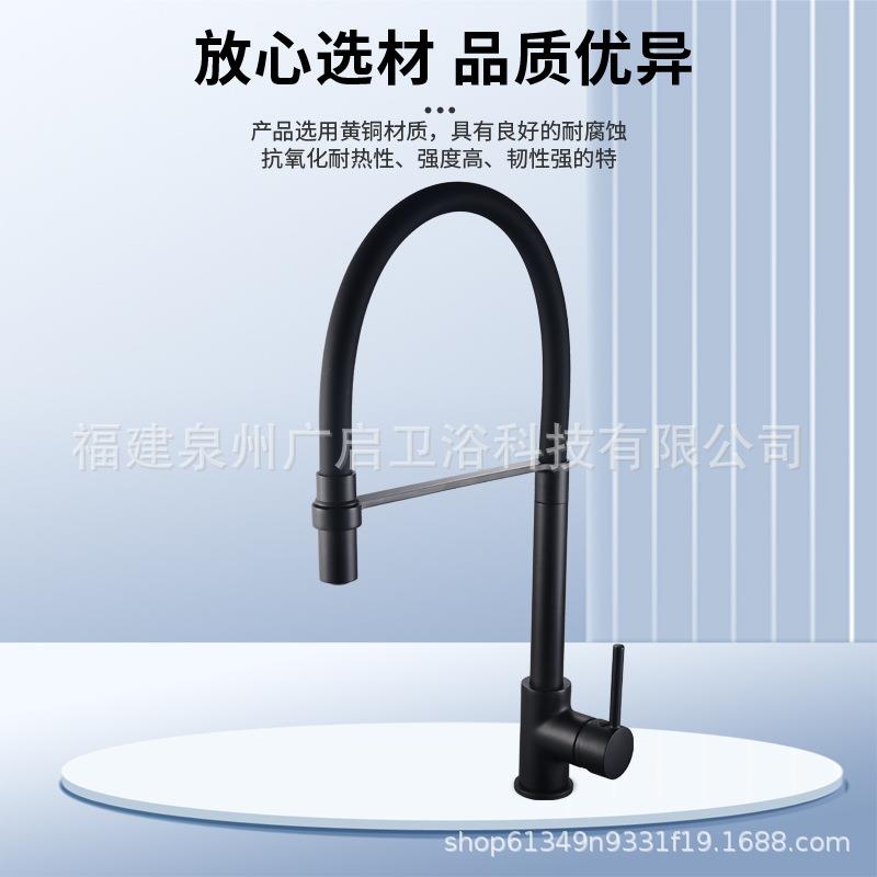 新款直销跨境黄铜厨房冷热水龙头两用黑皮管全铜水槽洗菜盆水龙头