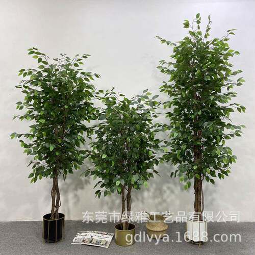 人造真树杆小榕树仿真白边榕树假绿植盆栽过胶迷你榕客厅造景装饰