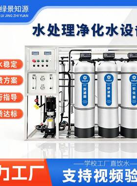 定制大型净水器设备工业水处理直饮水设备纯水机去离子反渗透设备