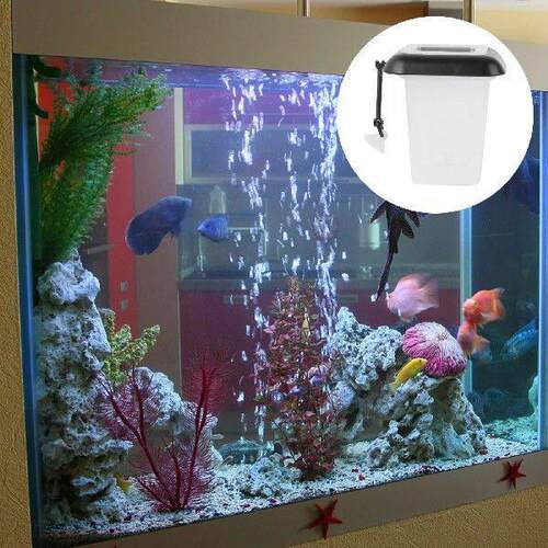 Red Worm Feeder Cone Shaped Fish Feeding Cup Suction Cup