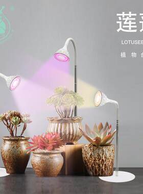 植物生长灯植物补光灯多肉生长灯全光谱仿阳光LED灯USB灯射灯台灯