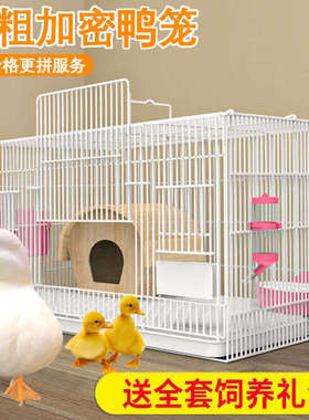 柯笼子房子芦丁小鸭子鸭大号别墅家用鸡笼窝尔小鸡笼室内专用屋养