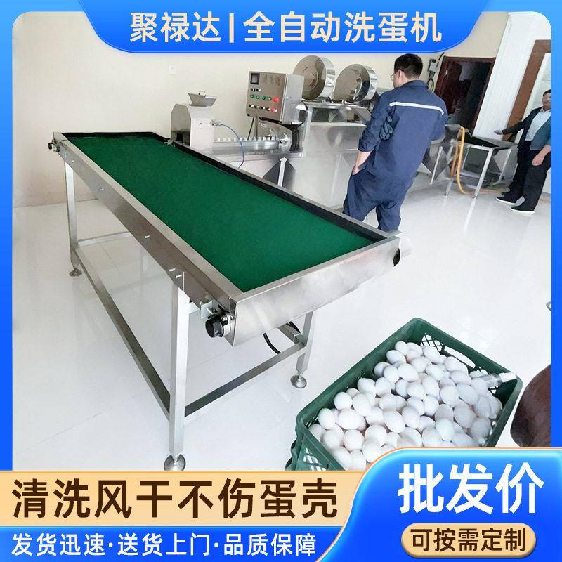 养殖场蛋类去泥清洗机 鸡蛋洗刷流水线 鲜鸡蛋浸泡洗蛋机
