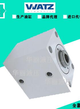 德国Watz 液压缸 原装油缸 Watz ZMl-100/56-250-1g/db2-a-c-Gl