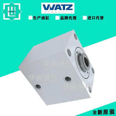 德国Watz 液压缸 原装油缸 Watz ZMl-100/56-250-1g/db2-a-c-Gl