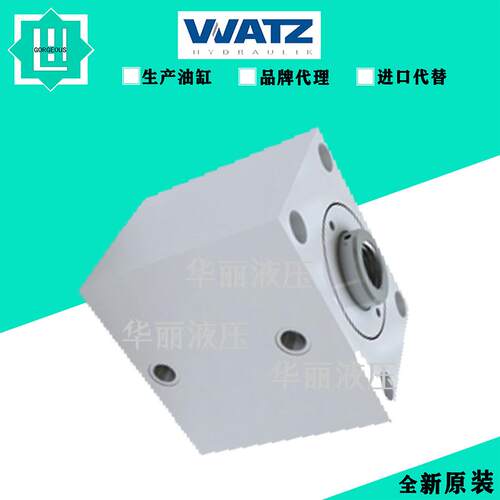 德国Watz 液压缸 原装油缸 Watz ZMl-100/56-250-1g/db2-a-c-Gl