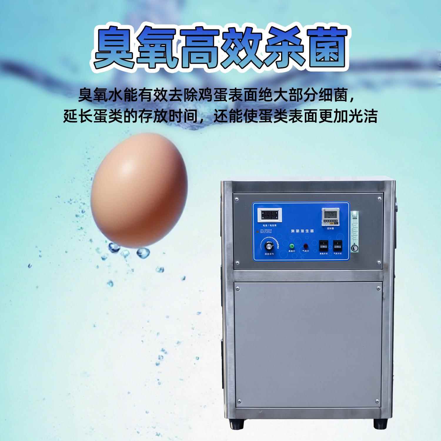 臭洗氧洗MMD蛋机清自动养场蛋品类鸡鸭殖蛋保洁蛋杀菌不锈钢洗蛋