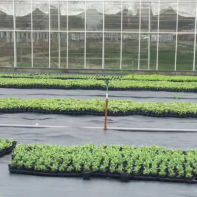 布农用草草抑大棚pe菜地防全新布果园地除草 园艺