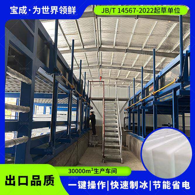 宝成直冷式制冰机块冰机条冰机水产养殖用大冰块机