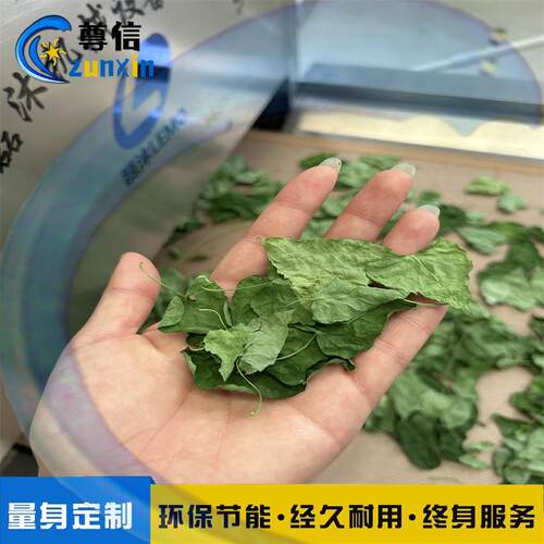桑叶茶微波杀青提香机茶叶绿茶微波烘干杀菌设备隧道式