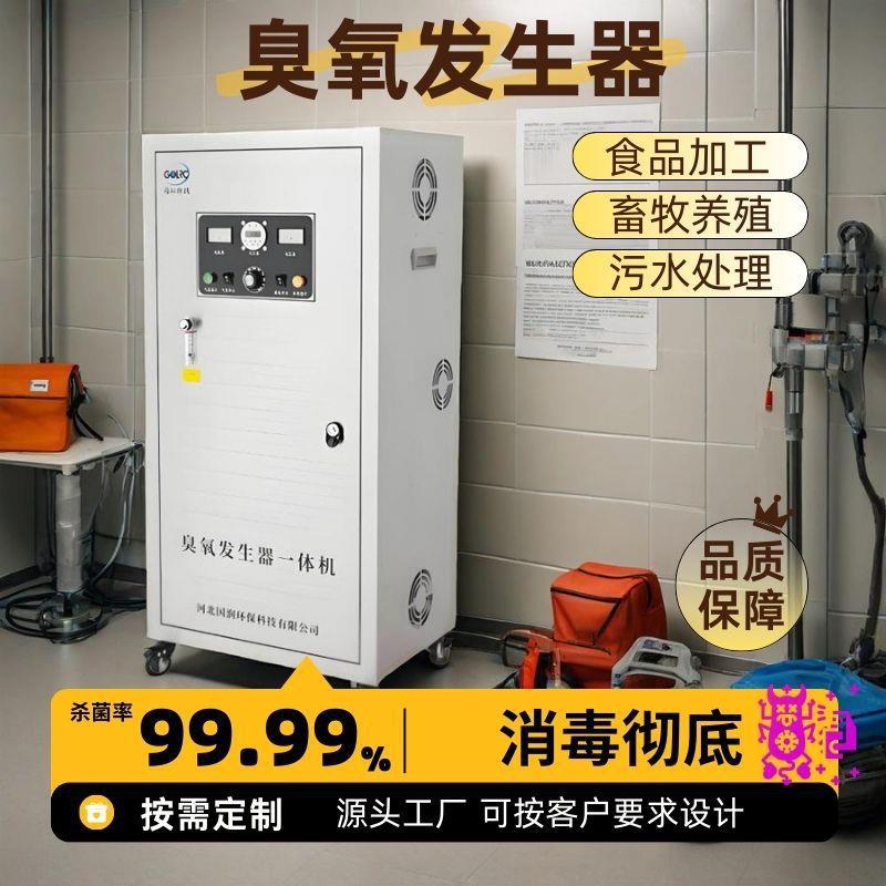 大型臭氧发生器100G氧气源养殖桶装水泳池工业空间水箱杀菌消毒器