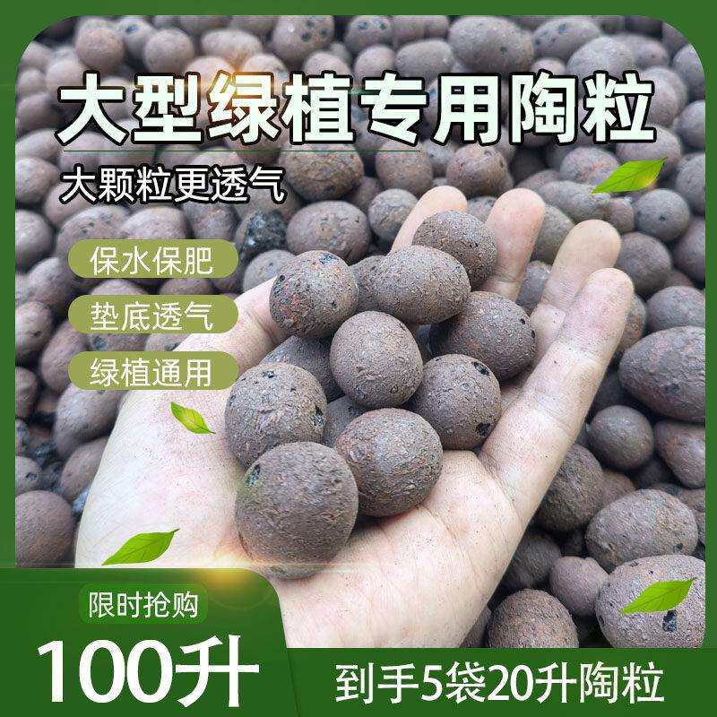 别100升100大型发财树底特大号专陶粒球垫颗粒盆栽铺面墅绿植用