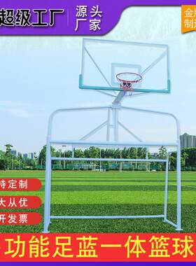 足篮一体篮球架足球门户外笼式组合多比赛5人7人11人多功能二合一
